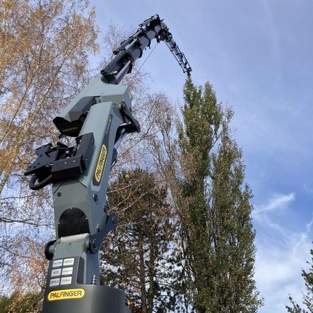 Arbeiten an einem Baum mittels Kran
